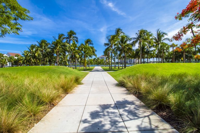 Miami All Year Round